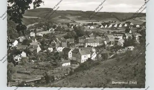 5374 HELLENTHAL - BLUMENTHAL, Ortsansicht 1963