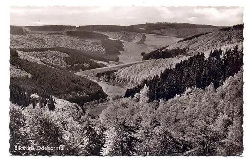 5920 BAD BERLEBURG, Odeborntal, 1961