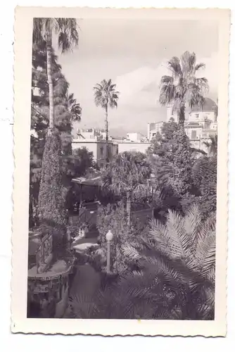 E 03200 ELCHE, Glorieta de Jose Antonio