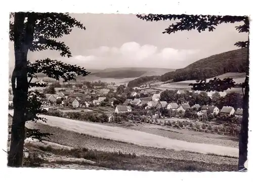 3470 HÖXTER - BRUCHHAUSEN, Dorfansicht, 1959