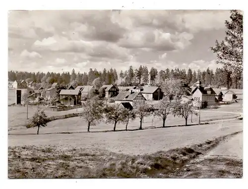 0-6124 SACHSENBRUNN - FRIEDRICHSHÖHE, Ortsansicht