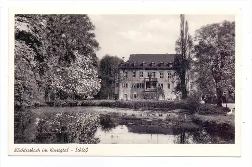 6480 WÄCHTERSBACH, Schloß, 1955