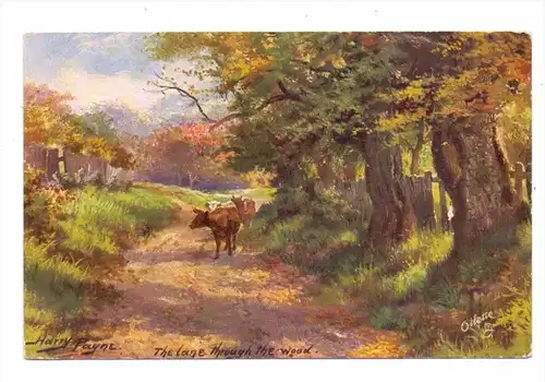 KÜNSTLER / ARTIST - HARRY PAYNE, "The Lane through the wood", Tuck Oilette # 9529