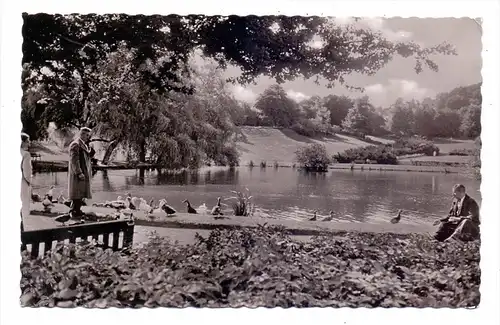 4800 BIELEFELD, Bürgerpark, 1958