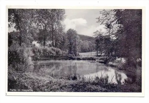 4300 ESSEN - HEIDHAUSEN, Hespertal, 1957