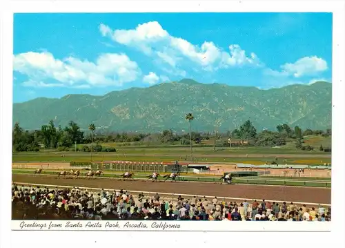 PFERDERENNEN / Horse racing / Turf, Santa Anna Park, Arcadia, California