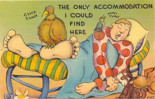 HUMOR - ACCOMODATION / Übernachtung