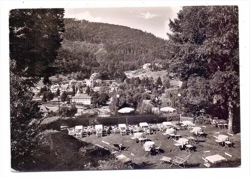 7506 BAD HERRENALB, Parkhotel Mayenberg, Terrasse, 1958