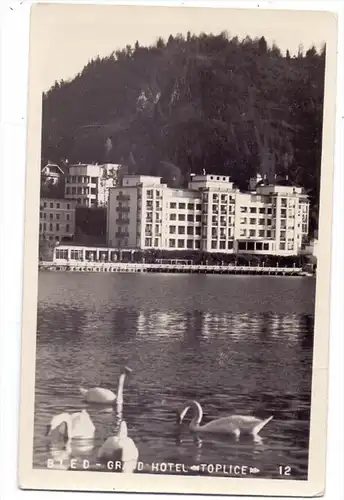 SLO 4620 BLED, Hotel Toplice