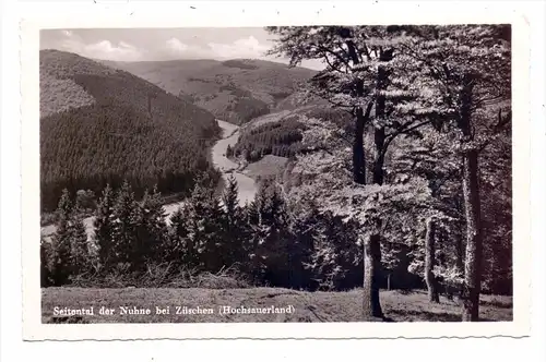 5788 WINTERBERG - ZÜSCHEN, Seitental der Nuhne, 1953