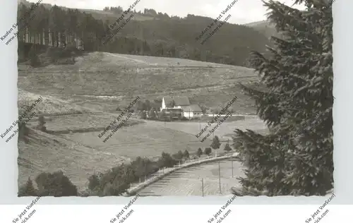 5920 BAD BERLEBURG - GIRKHAUSEN, Pension Dickel