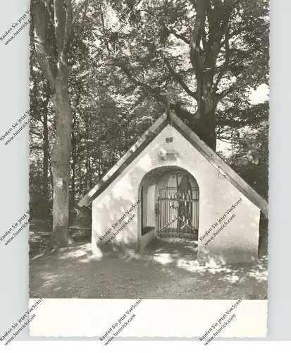 5358 BAD MÜNSTEREIFEL, Antonius der Einsiedler (Dicker Tönnes)