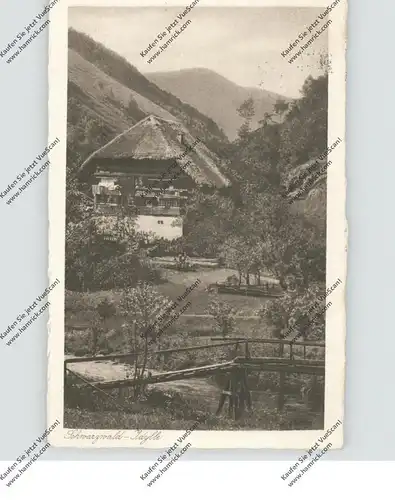 LANDWIRTSCHAFT - Bauernhaus im Schwarzwald
