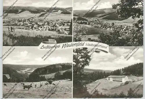 5788 WINTERBERG - NIEDERSFELD, Mehrbild-AK