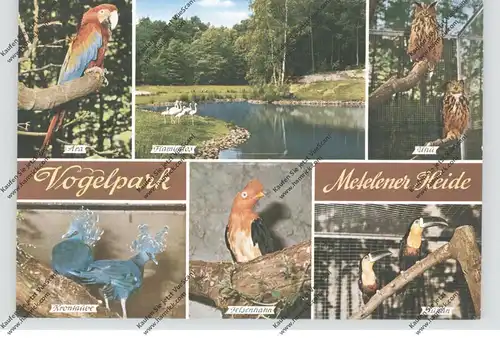 4439 METELEN, Vogelpark / Zoo