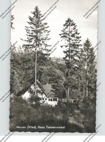 5455 RENGSDORF - HAUSEN / Wied, Haus Tannenwinkel, 1965