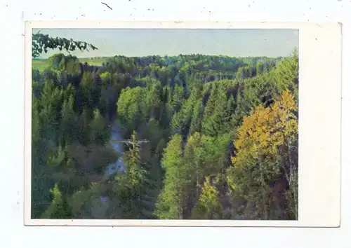 OSTPREUSSEN - MEHLSACK / PIENIEZNO, Walschtal