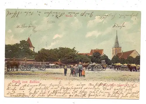OSTPREUSSEN - LABIAU / POLESSK, Gruss aus..., Pferdefuhrwerke, 1904, handcoloriert