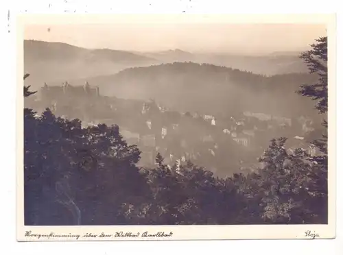 BÖHMEN & MÄHREN, KARLSBAD / KARLOVY VARY, Morgenstimmung über dem Weltbad Karlsbad