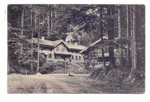 BÖHMEN & MÄHREN - DITTERSBACH - BALZHÜTTE / JETRICHOVICE - NA TOKANI, Häuser im Wald, 1920