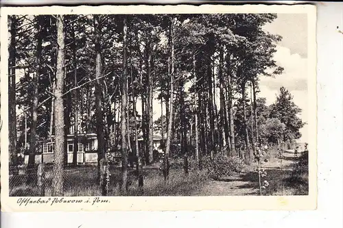 POMMERN - POBIEROWO / POBEROW, Waldhäuser