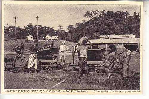 DEUTSCHE KOLONIEN - KAMERUN, Kakao-Ges. Viktoria, Schmallspurbahn