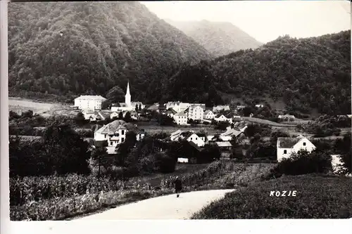 SLO 3260 KOZJE, Panorama