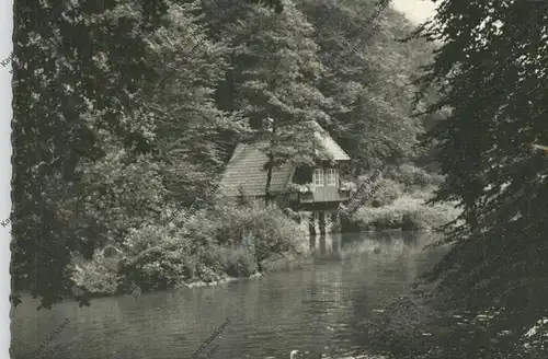 4330 MÜLHEIM / Ruhr, Withausbusch, Parkanlagen, 1961