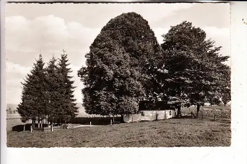 5419 DERNBACH, Heilborn