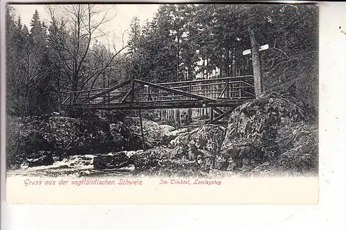 0-9704 FALKENSTEIN - TRIEB, Triebtal, Loreleysteg, 1906