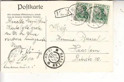 0-9704 FALKENSTEIN - TRIEB, Triebtal, Loreleysteg, 1906