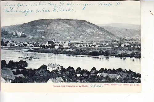 5462 BAD HÖNNINGEN, Gruss aus...., 1905