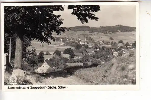 0-8360 SEBNITZ - SAUPSDORF, Ortsansicht