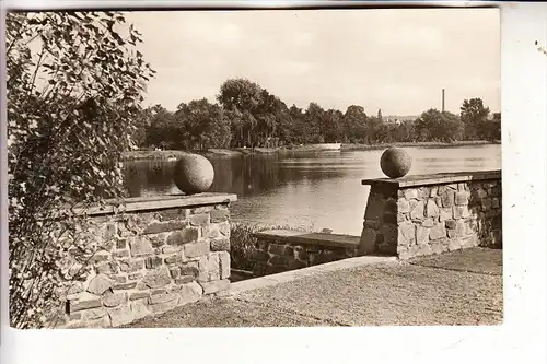 0-9540 ZWICKAU, Schwanenteich, 1958