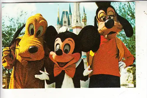 DISNEY - DISNEYWORLD - Mickey, Pluto, Goofy # 79905-C