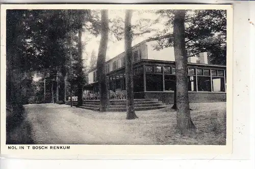 NL - GELDERLAND - RENKUM, Nol in t'bosch, 1953