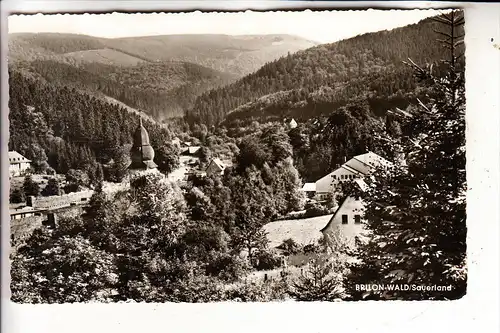 5790 BRILON - WALD, Panorama