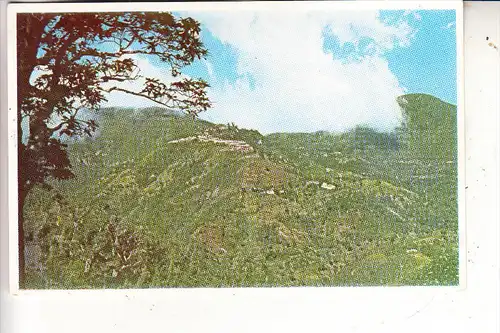 JAMAICA, Newcastle Military Encampment, 1958