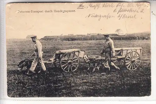 MILITÄR - 1.Weltkrieg, Patronentransport durch Hunde, Honden, Chien, Dogs, 1918