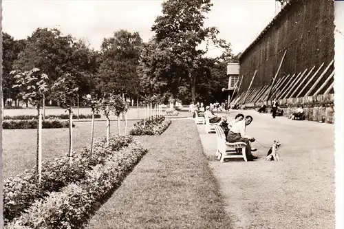 4502 BAD ROTHENFELDE, Saline, 1965