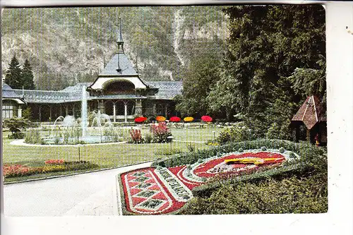 BLUMENUHR - l´Horloge florale / Flower Clock / Bloem Klok / Reloj de Flores / Fiore Orologio - INTERLAKEN