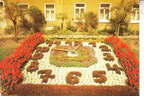 BLUMENUHR - l´Horloge florale / Flower Clock / Bloem Klok / Reloj de Flores / Fiore Orologio - GREIZ