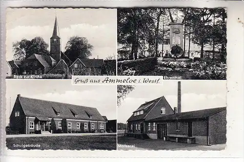 4426 VREDEN - AMMELOE, Molkerei - Schule - Kirche - Ehrenmal, 1959