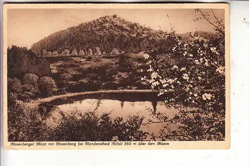 5561 BETTENFELD, Mosenberger Maar