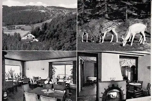 5462 BAD HÖNNINGEN, Haus Schönblick