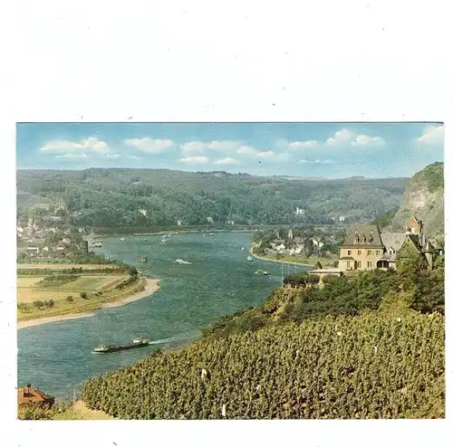 5460 LINZ - OCKENFELS, Burg Ockenfels und Umgebung, Weinstöcke, 1962