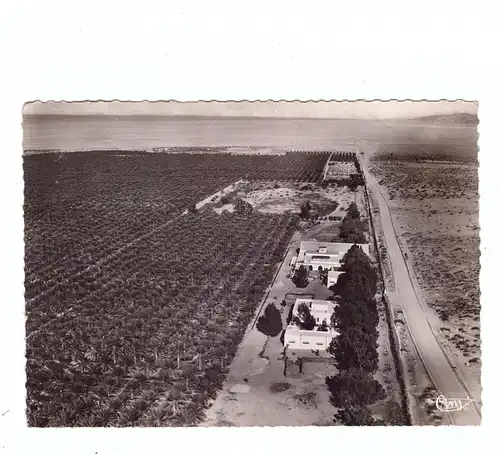 TUNESIE - EL-HAMME-DU-DJERID par Degache, Domaine de la Societe l'Oasis, vur airienne, 1959, CIM-Macon