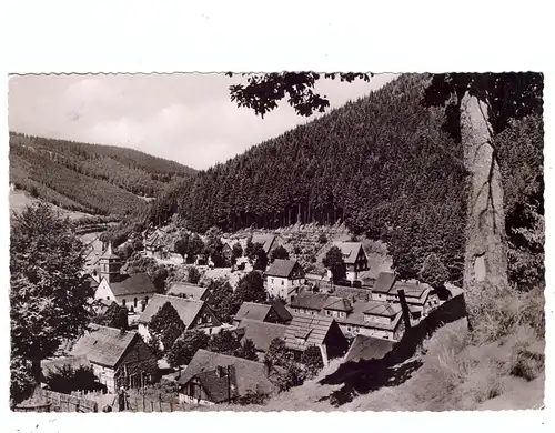 3542 WILLINGEN, Dorfansicht 1955