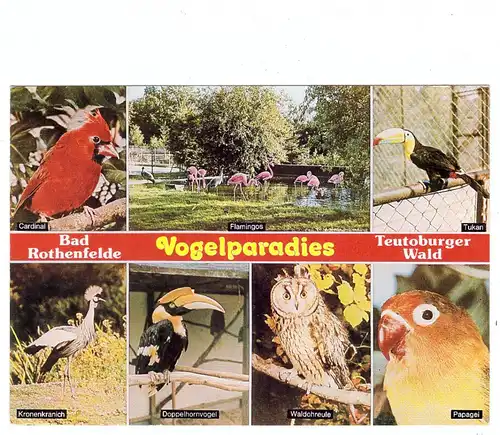 4502 BAD ROTHENFELDE, Vogelparadies, Famingos, Cardinal, Eule, Tukan, Papagei...