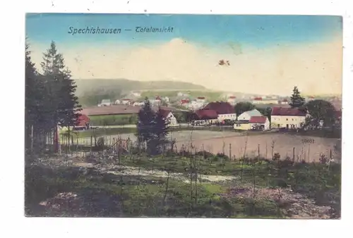 0-8211 SPECHTSHAUSEN, Totalansicht, leichter Mittelknick